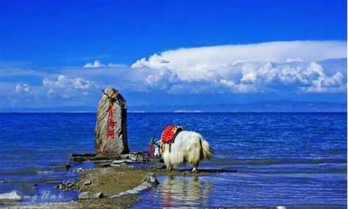 青海湖自驾旅游攻略一日游_青海湖自驾旅游攻略一日游路线