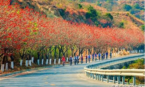 春节去攀枝花旅游攻略_春节去攀枝花旅游攻略5天