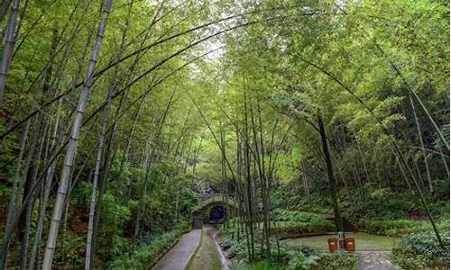 茶山竹海自驾游攻略_茶山竹海自驾一日游攻略