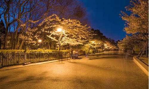 青岛中山公园晚上_青岛中山公园晚上几点关门