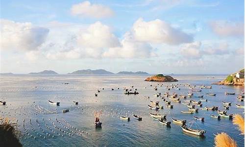 杭州到枸杞岛旅游攻略_杭州到枸杞岛旅游攻略路线