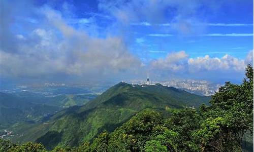 梧桐山旅游攻略和费用一览表_梧桐山旅游攻略和费用一览表一样吗