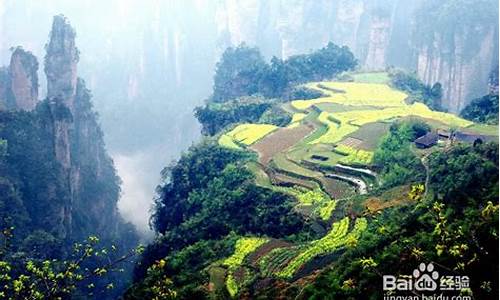 宜昌到张家界自驾游旅游攻略及费用_宜昌到张家界自驾游旅游攻略及费用多少