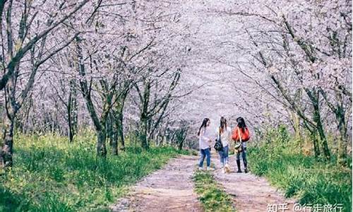 春季旅游景点大全_春季旅游景点大全图片