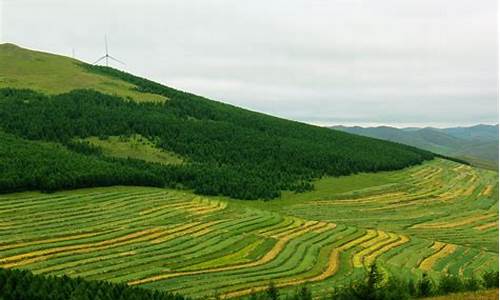 沽源草原天路自驾游攻略一日游_沽源草原天路自驾游攻略一日游图片