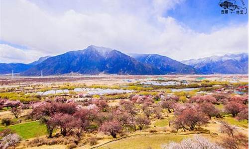 林芝旅游景点林芝景点大全_林芝旅游景点林芝景点大全图片