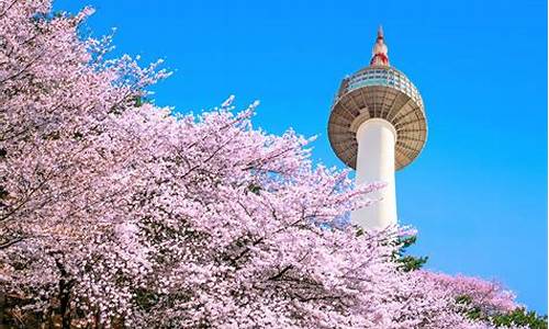 韩国自由行旅游攻略首尔多少钱_韩国自由行旅游攻略首尔多少钱一天