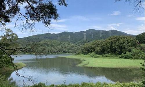 天竺山森林公园捡蘑菇路线